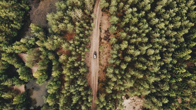 Aerial shot of a car driving on a pathway in the middle of a green forest