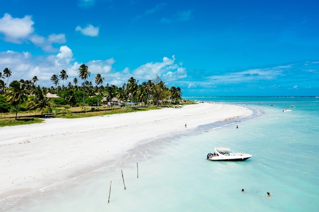 Aerial shot of a clear blue sea with a boat and a forested shore and beach on the side