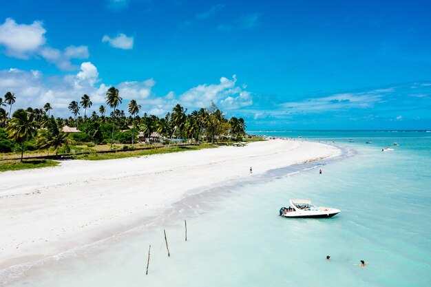 Aerial shot of a clear blue sea with a boat and a forested shore and beach on the side