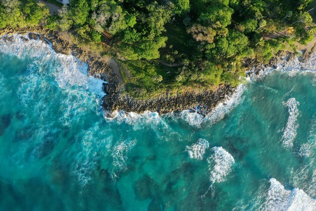 日光の下で海に囲まれた緑に覆われた崖の空中ショット