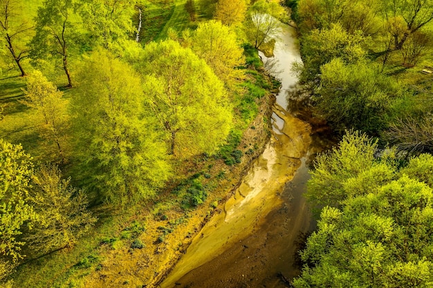Aerial shot of creek and trees during daytime
