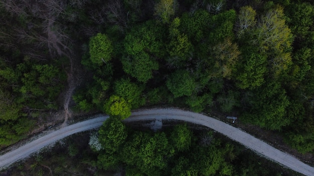 Aerial shot of a dense forest with gree trees and a road - green environment