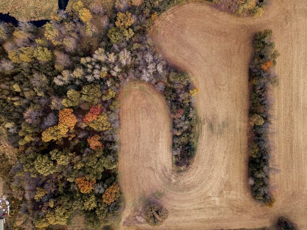 別の色の木の近くの乾いた草原の空中ショット