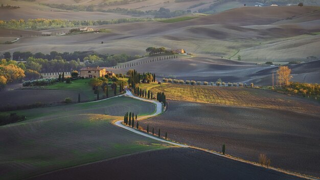 Aerial shot of a field and hills under the sunlight