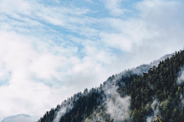 Воздушная выстрел из леса на высоком холме с облаками и голубым небом