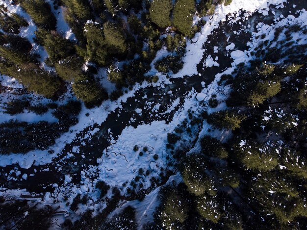 Aerial shot of a frozen river in the forest in winter