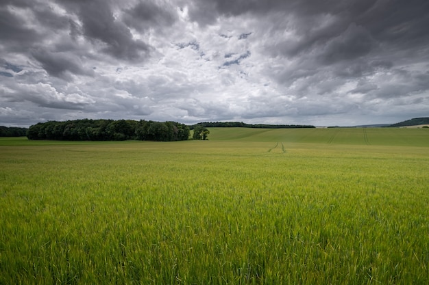 Aerial shot of a grassland under during a cloudy weather