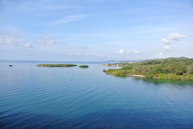 An aerial shot of green islands of Ozello Community Park in Crystal, USA