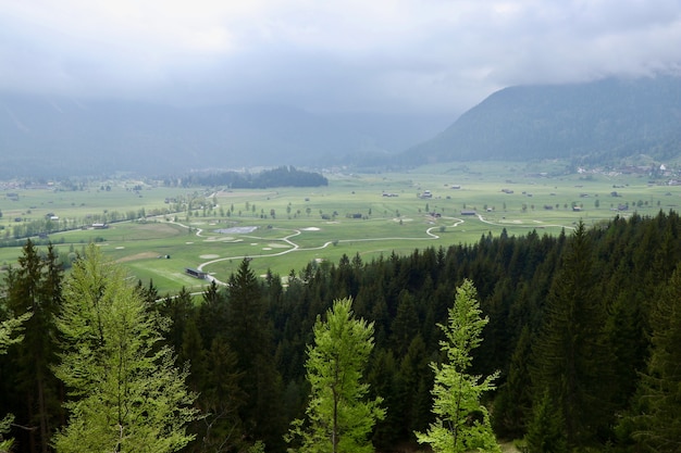 Aerial shot of a green landscape with beautiful fir trees and mountains