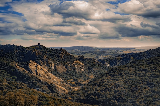 Free photo aerial shot of green mountain forest under cloudy sky