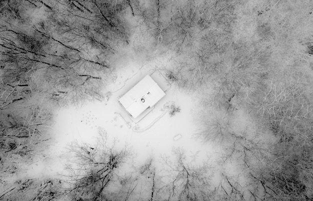 Aerial shot of a house surrounded by leafless trees in black and white