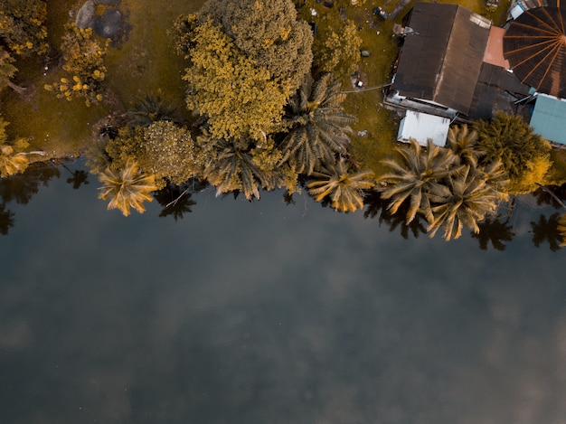 Aerial shot of a house surrounded by trees near the sea