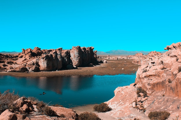 Aerial shot of a lake on the middle of a desert on a sunny day