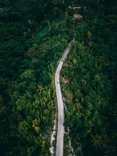 Aerial shot of a long road on the hill surrounded by greens and trees