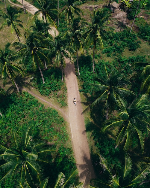 Free photo aerial shot of a long road  surrounded by greens and trees