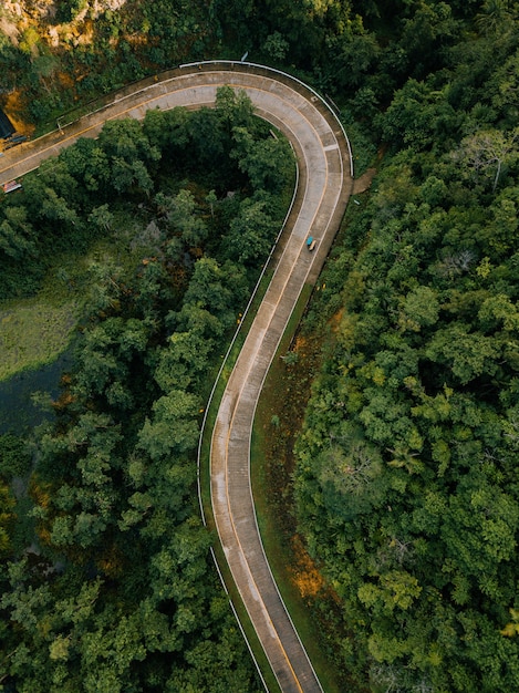 Aerial shot of a long road surrounded by trees and fields