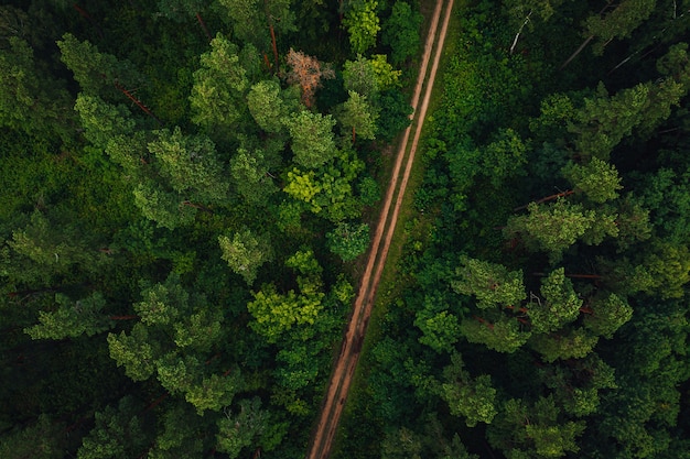 Aerial shot of a long road surrounded by trees and greens