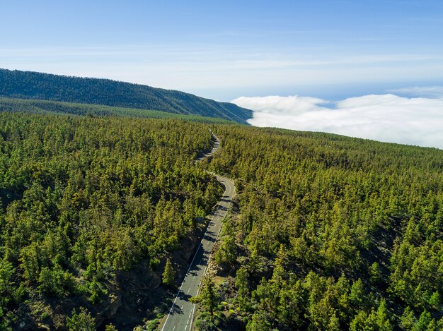 Aerial shot of a long road through the green woodland, scenic cloudscape on the background