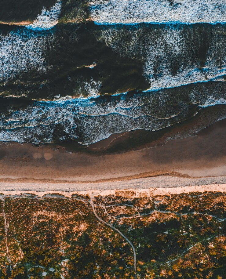 Free Photo aerial shot of the mesmerizing view of the coastline in a sunny day