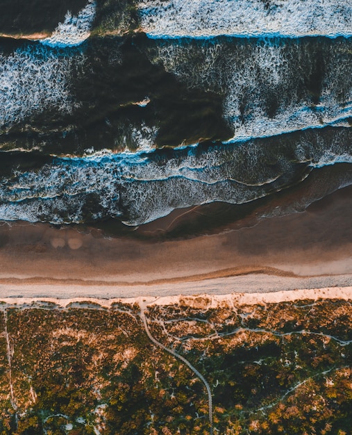 Aerial shot of the mesmerizing view of the coastline in a sunny day