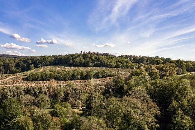 Aerial shot of a mountain landscape covered with trees