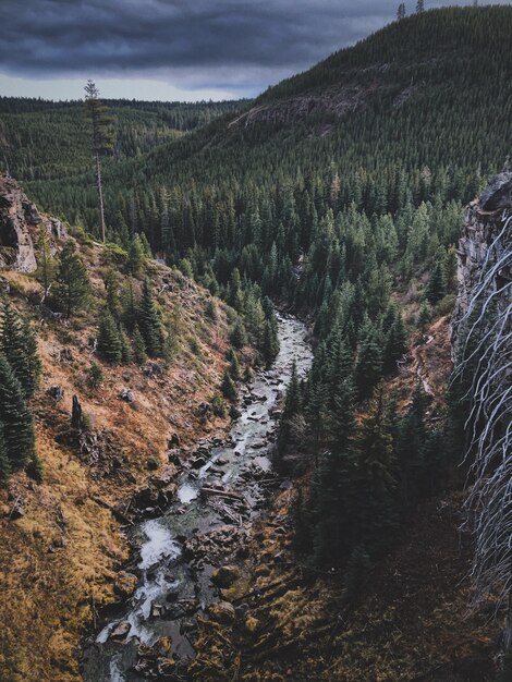 Aerial shot of a mountain landscape with a dense forest and a river