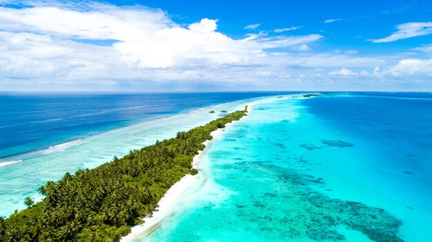 Aerial shot of a narrow island covered by tropical trees  in the middle of the sea in Maldives