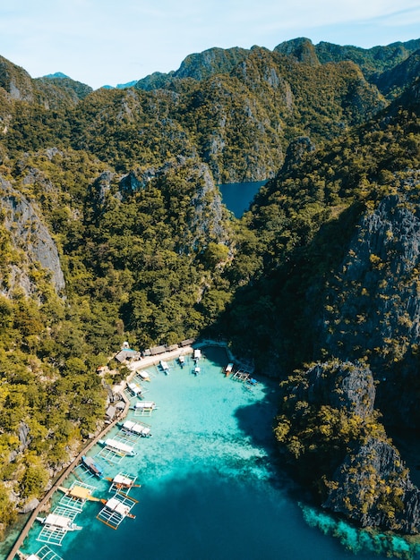 Aerial shot of the ocean surrounded by the high mountains covered in greens