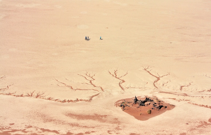 Free Photo aerial shot of people standing near the cracked desert ground at daytime