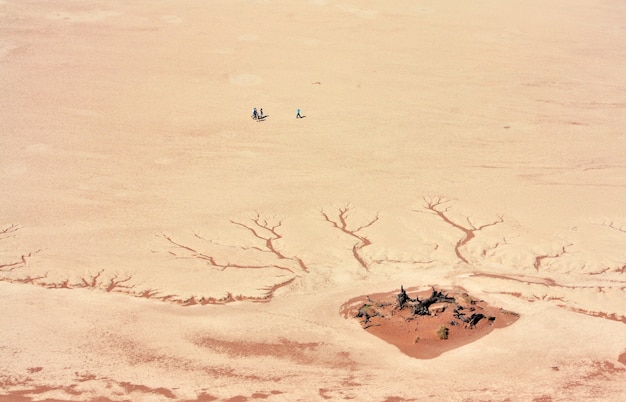 Воздушная съемка людей, стоящих возле треснутой пустынной земли в дневное время