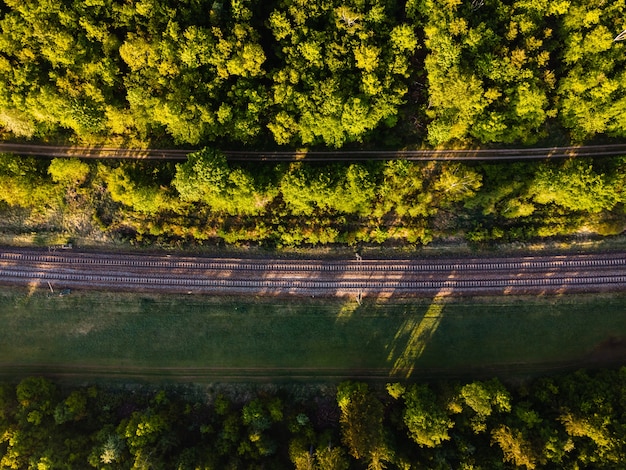 독일의 햇빛 아래 숲으로 둘러싸인 철도 트랙의 공중 촬영