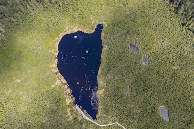 Aerial shot of the Ribnica lake surrounded by a field in Slovenia