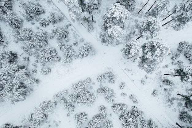 うっとりするような雪に覆われた森に囲まれた道を空撮