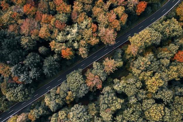 Aerial shot of a road surrounded by trees in a forest