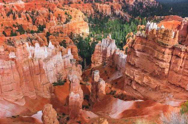 Aerial shot of a rocky mountain canyon with red soil and covered in evergreen forests
