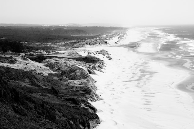 Aerial shot of seashore near hills with grassy field in black and white