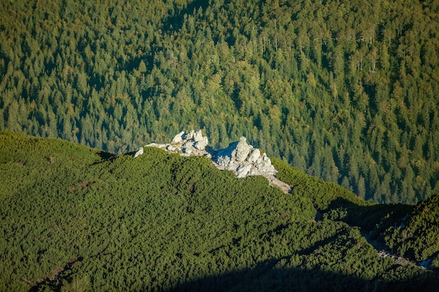 Aerial shot of the Sneznik rocky mountain covered with forests in Slovenia