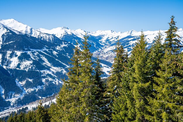 Aerial shot of a snowboarding resort in the snow under the sunlight