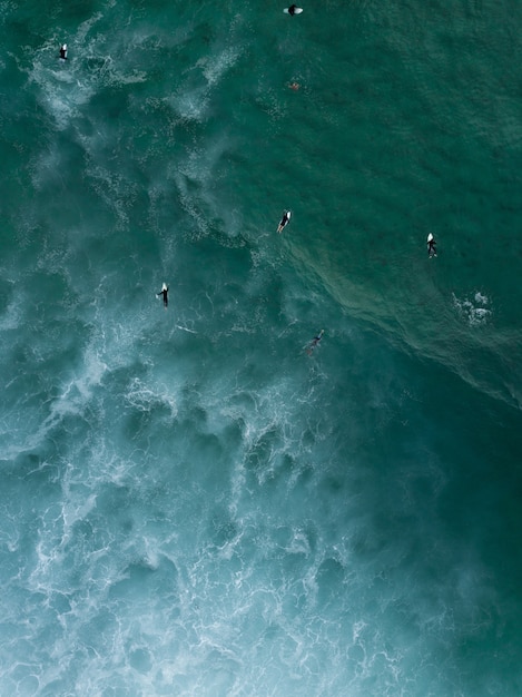 Foto gratuita ripresa aerea di surfisti che nuotano sdraiati sulle loro assi nel mare in attesa che arrivino onde forti