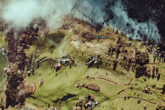 Aerial shot of trees and houses