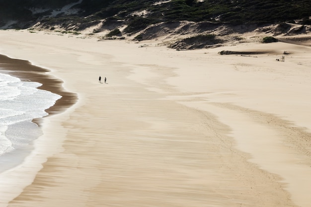 Aerial shot of two people walking in the beautiful beach by the sea