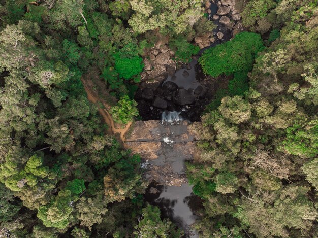 Aerial shot of a water stream surrounded by green trees