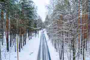 Foto gratuita ripresa aerea della strada invernale attraverso la foresta