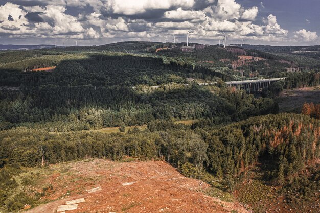 Aerial shot of a woodland with lush trees in autumn