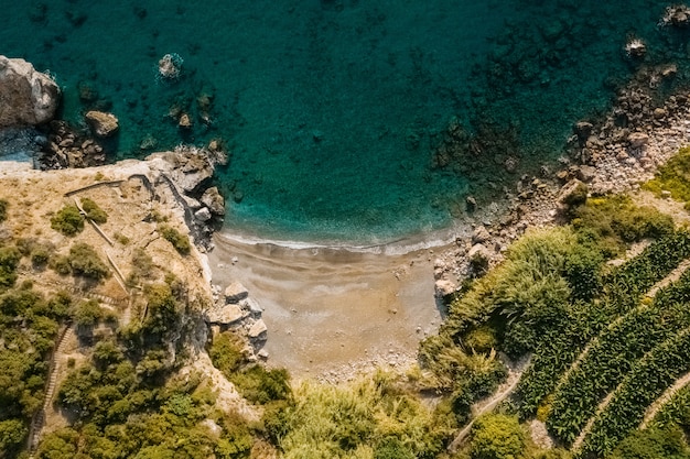 Aerial top view of sea meeting rocky shore with green trees