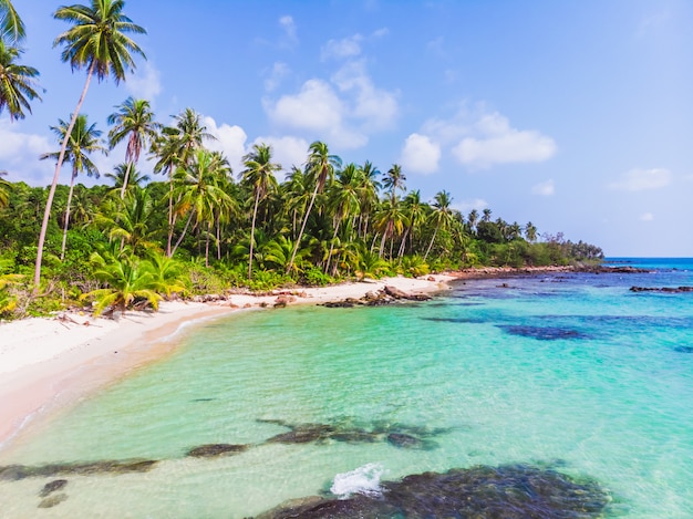 ココヤシのヤシの木と美しいビーチと海の航空写真
