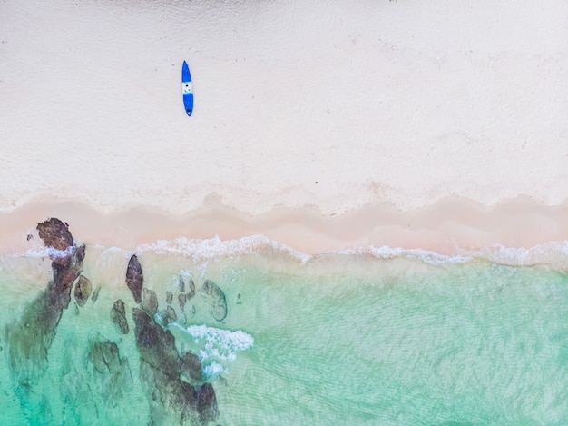 Vista aerea di bella spiaggia e mare con palme da cocco