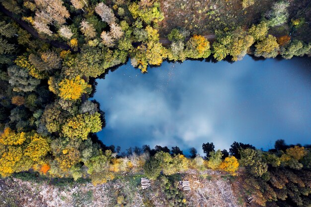 森に囲まれた美しい湖の空撮-壁紙に最適