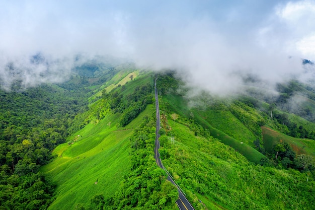 タイ、ナン州の緑のジャングルと山の頂上に美しい空の道の空撮