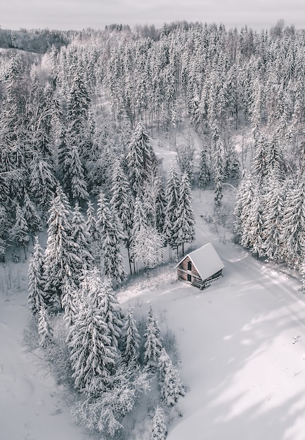 Aerial view of a beautiful winter landscape with fir trees and a cabin covered in snow